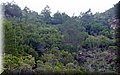 PA126008.JPG