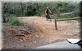 PA156189.JPG