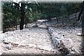 PA196320.JPG