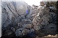 PA196356.JPG