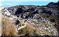 PB016908.JPG