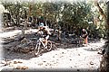 PB016965.JPG