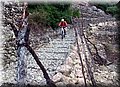1424331_10202350623357104_649586083_n.jpg