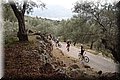 PB047105.JPG