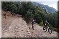 PB047115.JPG