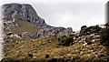 PB047167.JPG