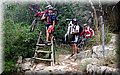 DSCF0223.jpg