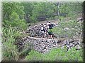 DSCF0224.jpg
