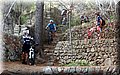 DSCF0228.jpg