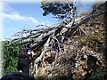 DSCF0283.jpg