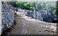 DSCF0289.jpg