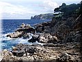 DSCF0291.jpg