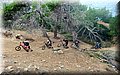 DSCF0294.jpg