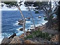 DSCF0297.jpg