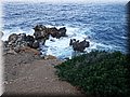 DSCF0323.jpg
