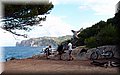 PB097376.JPG