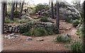 PB097416.JPG