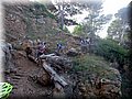 S0100274.jpg