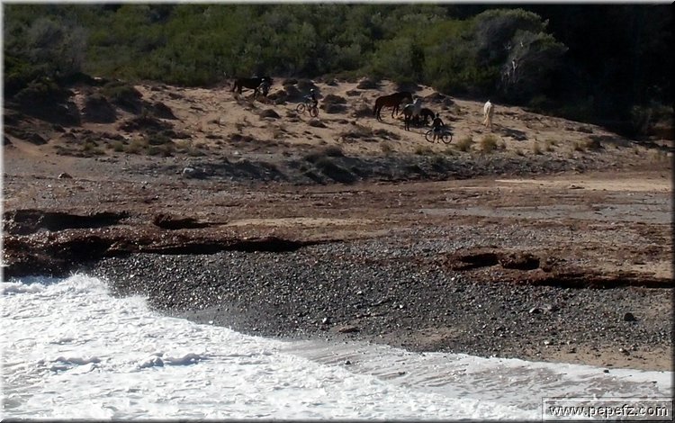PB127773.JPG