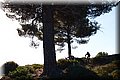 PB127723.JPG