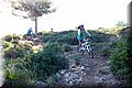 PB127740.JPG