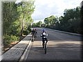 2013_11230007.JPG