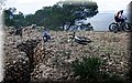 2013_11230069.JPG