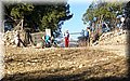PC070217.JPG
