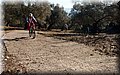 PC078634.JPG