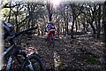PC078639.JPG