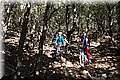 PC078640.JPG