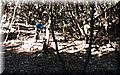 PC078641.JPG