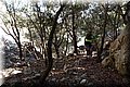 PC078645.JPG