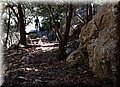 PC078646.JPG