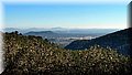 PC078647.JPG