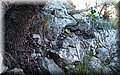 PC078659.JPG