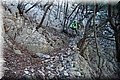 PC078681.JPG