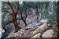 PC078684.JPG