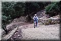 PC249294.JPG