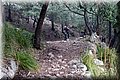 PC249304.JPG