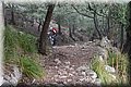 PC249305.JPG