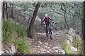 PC249307.JPG