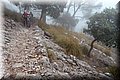 PC249316.JPG