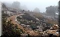 PC249326.JPG