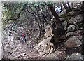 PC249364.JPG