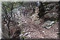 PC249366.JPG