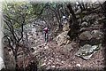 PC249367.JPG