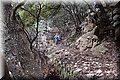 PC249370.JPG