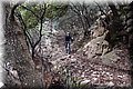 PC249375.JPG