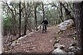 PC249384.JPG